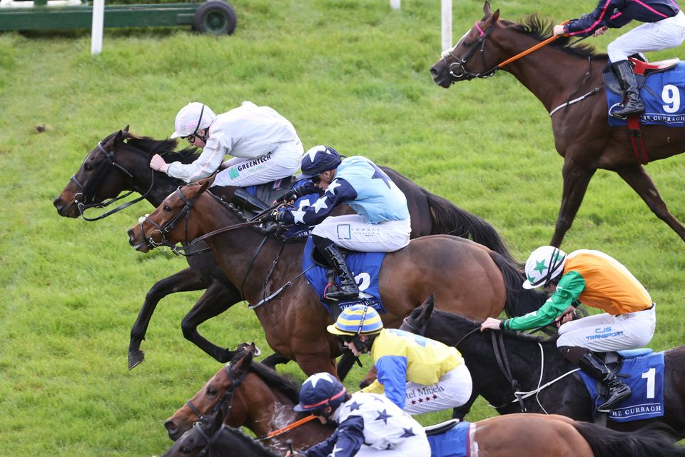 Aidan O Brien bags two winners at Breeders Cup Independent.ie